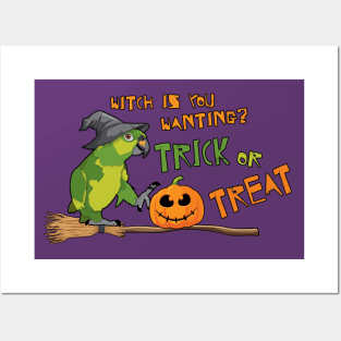 Amazon Parrot "Witch is you wanting? Trick or Treat" Posters and Art